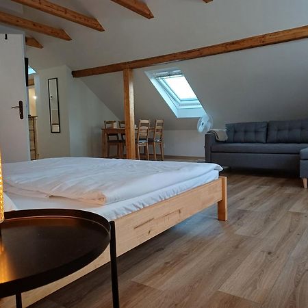 Loft Apartment Karlovy Vary Kültér fotó