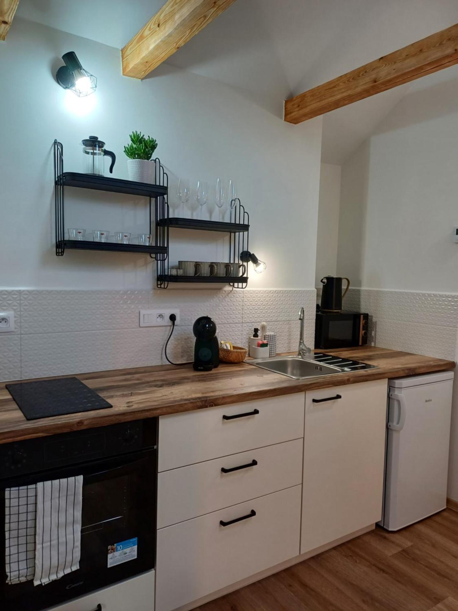 Loft Apartment Karlovy Vary Kültér fotó